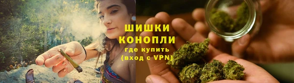 ALPHA-PVP Новозыбков