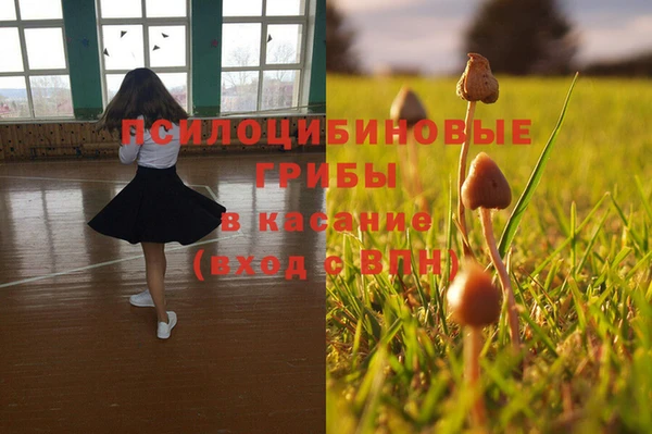 амф Анжеро-Судженск