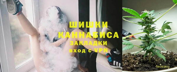 амф Анжеро-Судженск